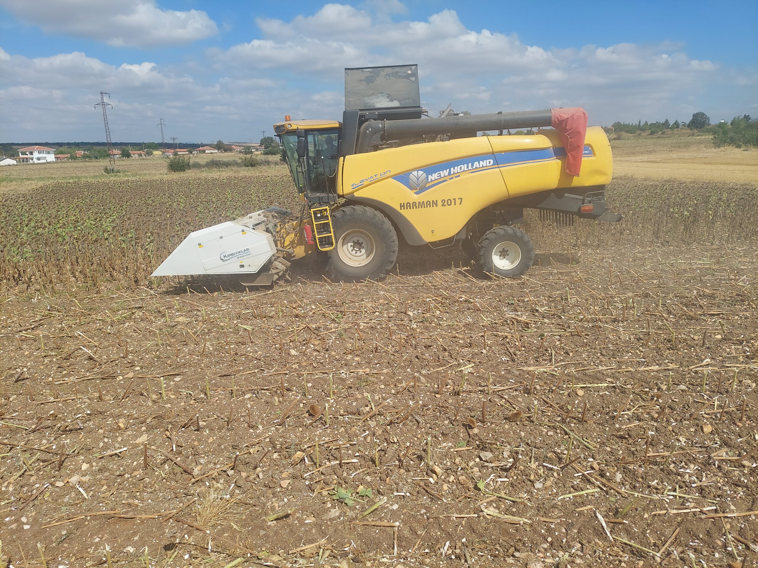 Trakya Satılık Tarla